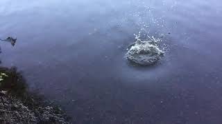 Slow Motion throwing a Rock In Water big ripples [upl. by Olatha]