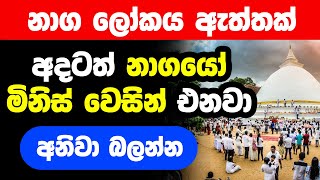 නාග ලෝකයෙන් කැලණියට වැඩි ධාතූන් සහ මිනිස් වෙසින් එන නාගයෝ Naga Lokaya Kelani Viharaya Temple [upl. by Boorer]