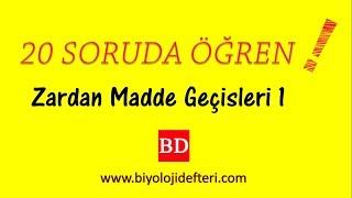 20 SORUDA ÖĞREN  Hücre Zarından Madde Geçişleri1 [upl. by Anihtyc]