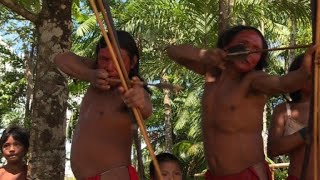 Una tribu afila sus flechas contra invasores de la Amazonia [upl. by Jannelle664]