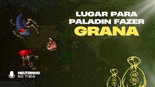 DESCOBRI UM LUGAR ABANDONADO NO TIBIA PARA PALADIN FAZER PROFIT  DIREMAWS WARZONE 6 [upl. by Cassilda]