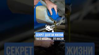 Мы официальный дистрибьютор масла Liqui Moly и поможем выбрать тебе лучшее масло для твоего авто [upl. by Segal]