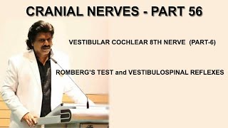 CRANIAL NERVES PART 568TH NERVE PART6 ROMBERG’S TEST and VESTIBULOSPINAL REFLEXES [upl. by Neumark261]