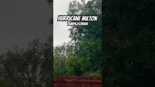 Hurricane Milton is almost here  hurricanemilton tampa tampabay hurricane shorts southtampa [upl. by Ahsaele]