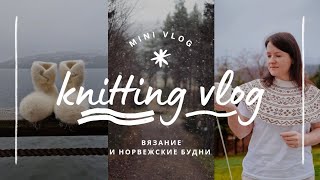 vlog 4324  довязала кашемировый джемпер в стиле oldmoney ✨️🧶 мои первые скандинавские тапочки [upl. by Hedva372]