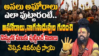 అసలు అఘోరాలు ఎలా పుట్టారంటే Agoras Life History In Telugu  Shocking Secrets Of Aghori amp Sadhus [upl. by Neeruan]