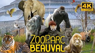 Zoo Parc De Beauval  France 🇫🇷May 2022  4K  HDR 60fps Walking Tour Part 1  A Walk In Paris [upl. by Eelloh]