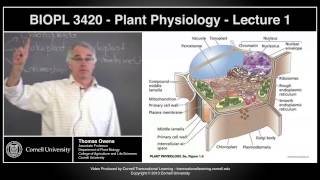 BIOPL3420  Plant Physiology  Lecture 1 [upl. by Annhoj649]