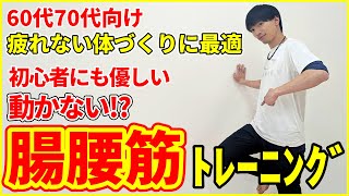 【筋トレ初心者必見】動かない筋トレで足腰強化！腸腰筋特化トレーニングで正しい姿勢とバランスを向上させる方法 [upl. by Nurav]