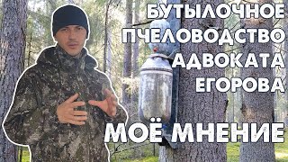 Жжжжбан Адвоката Егорова I Бутылочное пчеловодство I Моё мнение [upl. by Fin]