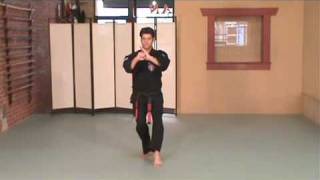 Rick Jeffcoats  American Kenpo Karate  S2  Short Form 2 [upl. by Furr252]