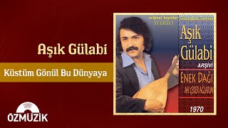 Aşık Gülabi  Küstüm Gönül Bu Dünyaya Official Audio [upl. by Glassman623]