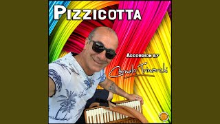 Pizzicotta [upl. by Parcel]