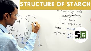 Structure of Starch [upl. by Dagnah]