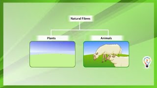 Natural fibres and synthetic fibres [upl. by Ethbin]