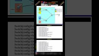 VLAN Configuration networking ccna vlan education ai chatgpt networksecurity cisco [upl. by Sordnaxela]