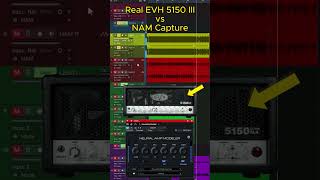 NAM vs Real EVH 5150 III Amp 🎸🤘 [upl. by Haidadej458]