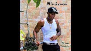 Blackanese YoungStar Gyal Lyrics [upl. by Jesh]