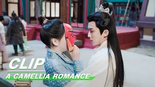 Clip Xu Falls In Love With Zhou In An Eye Contact  A Camellia Romance EP07  许纯纯的茶花运  iQiyi [upl. by Whiting]