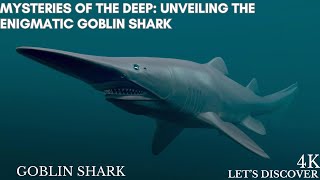 quotMysteries of the Deep Unveiling the Enigmatic Goblin Sharkquot [upl. by Atoel]