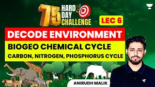 L6  Biogeo Chemical Cycle  Carbon Nitrogen Phosphorus Cycle  Environment Series  Anirudh Malik [upl. by Annawaj]