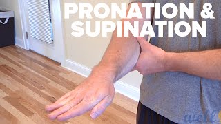 Physcial Exercise For Elbow Rehabilitation  Pronation and Supination [upl. by Eiramait]