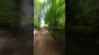 Clumber Park Parkrun in Under a Minute parkrun parkruntourism 5k running [upl. by Borman34]