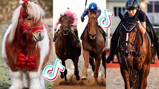 The Cutest HORSES Equestrian TikTok Compilation 149 [upl. by King]