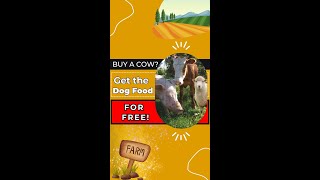 Buy a cow—get the dog food for free [upl. by Cherie111]