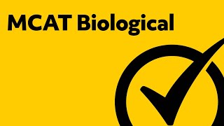 Best MCAT Biology Study Guide [upl. by Mcarthur]