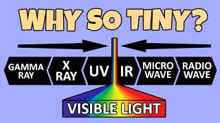 Limits of the Visible Spectrum [upl. by Dlnaod]