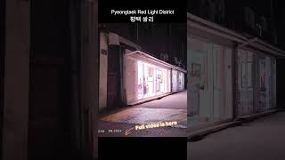 쌈리 평택 pyeongtaek RedLightDistrict 홍등가 집창촌 红灯区 あかせんちたい korea [upl. by Anohs]