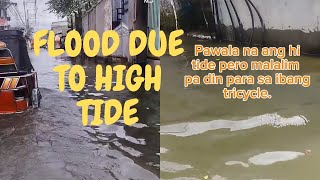 FLOODED AREA IN HAGONOY BULACAN DUE TO HIGH TIDE shorts flood nature hightide [upl. by Iramat]