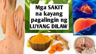 Turmeric Medecine tagalog  Luyang dilaw [upl. by Amadeus]