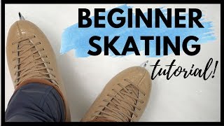 ICE SKATING FOR BEGINNERS Skating Lesson [upl. by Ellehcan]