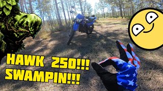 Hawk 250 OffRoading in Withlacoochee State Forest [upl. by Kenward]