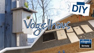 Geht das Vogelhaus in unter 60 min selber bauen [upl. by Enitram]