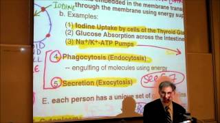 BIOLOGY CYTOLOGY PART 2 by Professor Fink [upl. by Oah411]