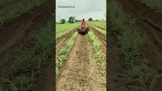 STANISH POWER WEEDER 12HP भारतातील सर्वात स्वस्त मजबूत minitillershetkariagriculturemarathiviral [upl. by Warrin94]