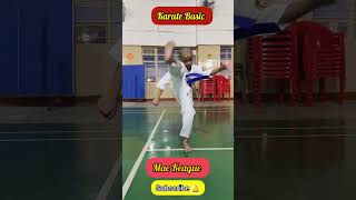 Karate Basics short youtubeshorts viralshorts karate [upl. by Nnaeiram]