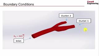 PreAnalysis  Steady Flow in an Artery [upl. by Jola488]