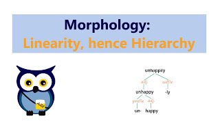 Morphology Linearity hence Hierarchy [upl. by Ritchie]