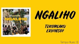 Ngaliho  Tekomlaku Ft Ervinsof Lirik Lagu [upl. by Vernita]