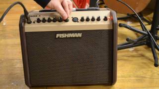 NEWFISHMAN LOUDBOX MINIguitarshoptantan [upl. by Tolmann]