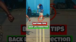 Batting tips  Back leg correction cricket battingtips battingbasics battingtechnique shorts [upl. by Ydassac756]