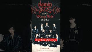 STRAY KIDS viene a LATAM 😲  World Tour straykids skz straykidstour kpop parati xyzbca viral [upl. by Charmian183]