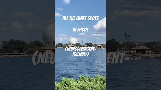 Some more of the best places in the park epcot waltdisneyworld neurodivergent disneyparks [upl. by Iramat612]