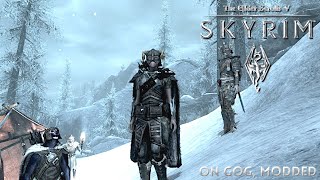 Whats Inside Lost Echo Cave  Exploring Skyrim SE GOG Modded [upl. by Elyn991]