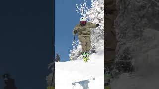 2024 Mens Mid 100 mm Freeride Ski Comparison Teaser [upl. by Otaner375]