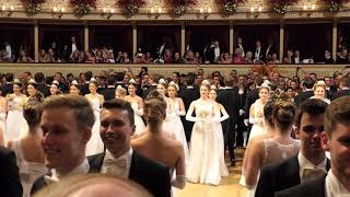 Wiener Opernball 2019 Balleröffnung der Debütanten [upl. by Frerichs]